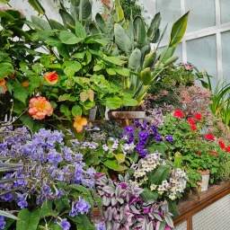 schottland rundreise 2023_64